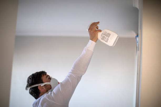 Best Crawl Space Mold Removal  in Lake Forest, CA
