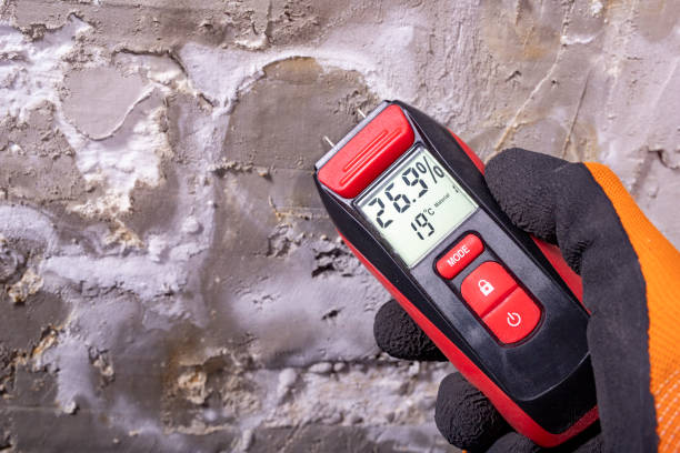 Best Mold Cleaning Services  in Lake Forest, CA