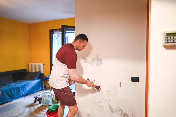 Best Mold Testing  in Lake Forest, CA