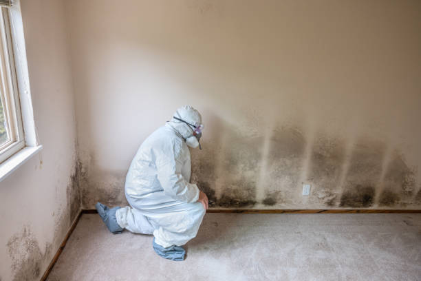 Best Mold Testing  in Lake Forest, CA